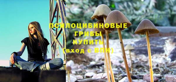 ПСИЛОЦИБИНОВЫЕ ГРИБЫ Абинск
