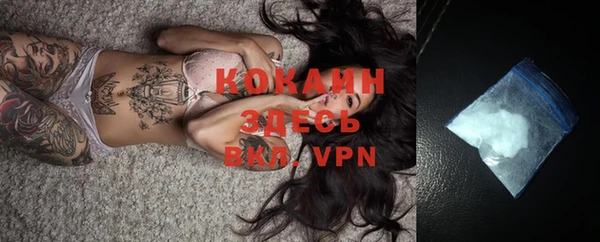 прущие крисы Абаза