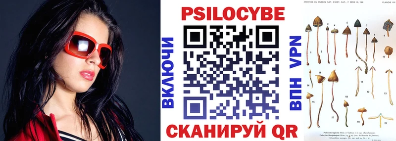 Псилоцибиновые грибы Psilocybe  blacksprut онион  Новое Девяткино 